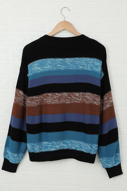 Multicolor Knit Crew Neck Pullover Sweater